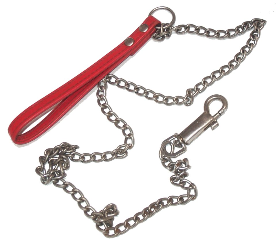 Dog chain.jpg